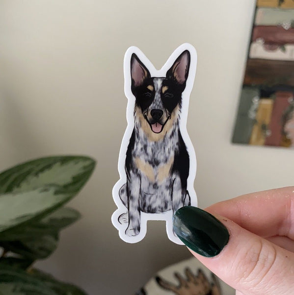 Blue Heeler Car Window Decals - Realistic Dog Stickers Pack Of 2 For Cars & Windows