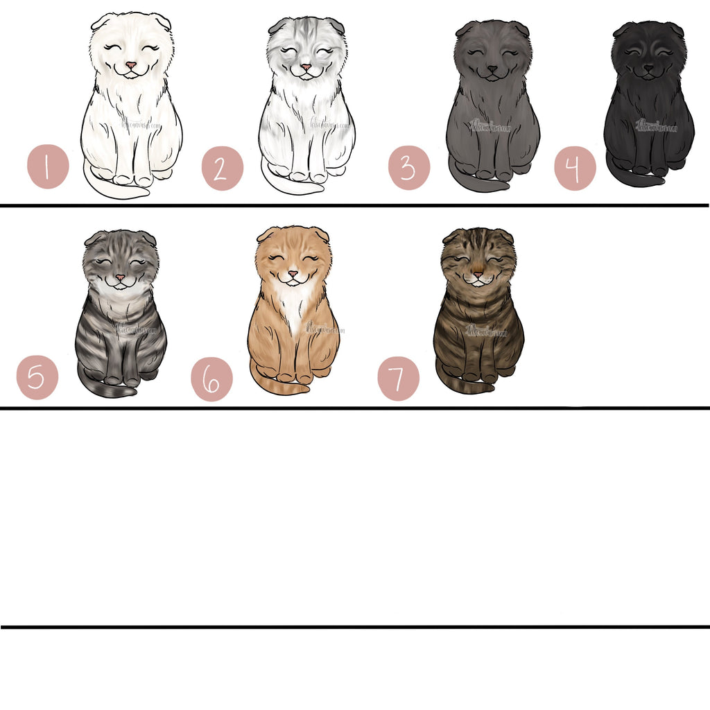 Choose Your SCOTTISH FOLD CAT Art Print