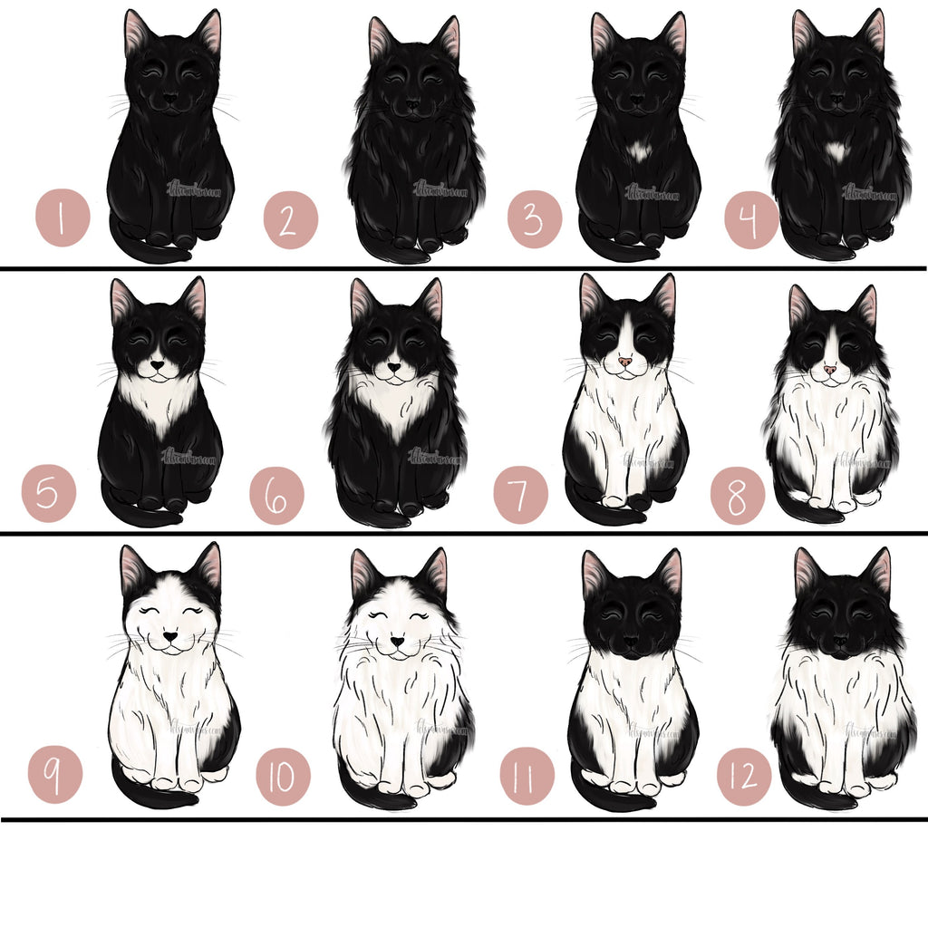 Choose Your BLACK/WHITE CAT Art Print