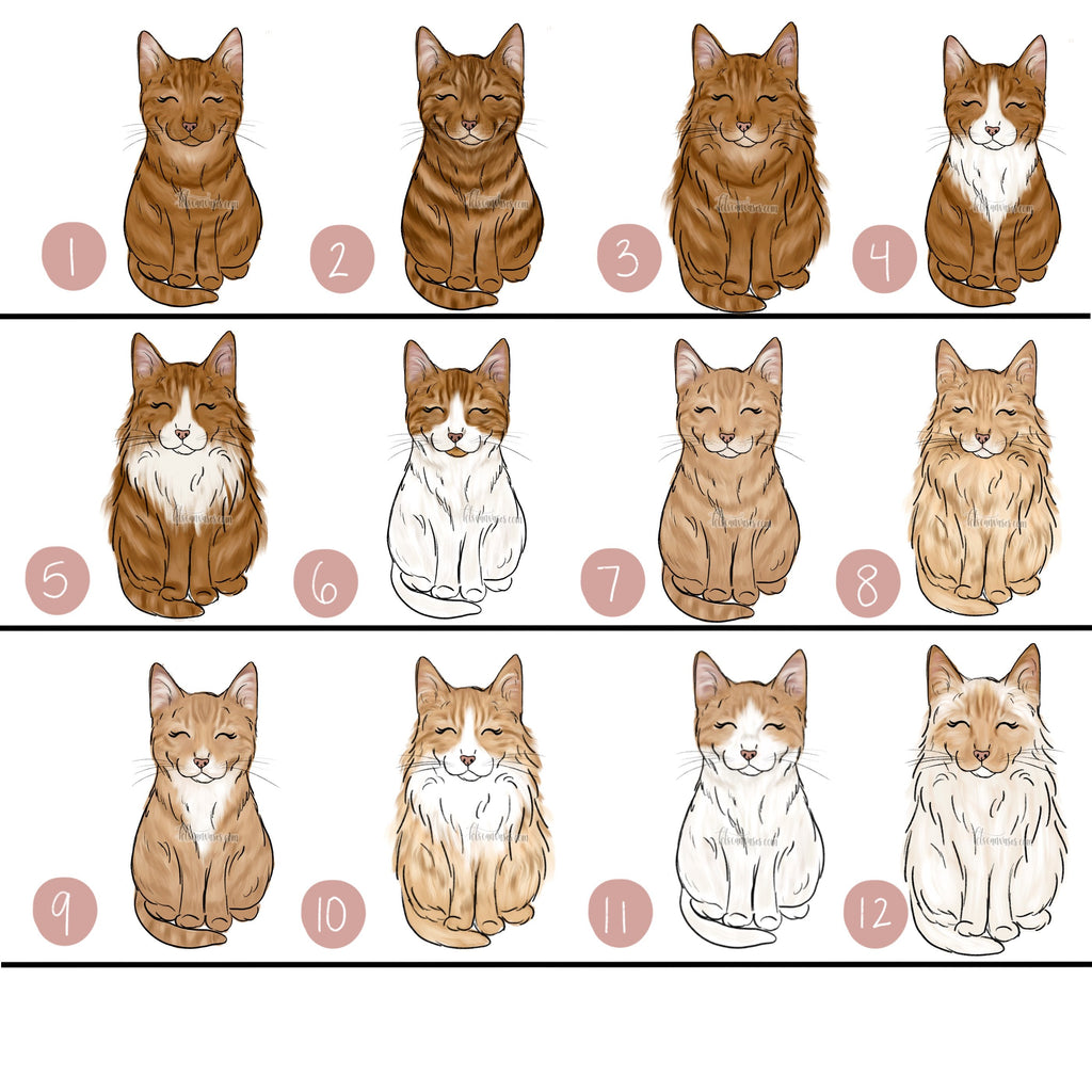 Choose Your ORANGE CAT Art Print