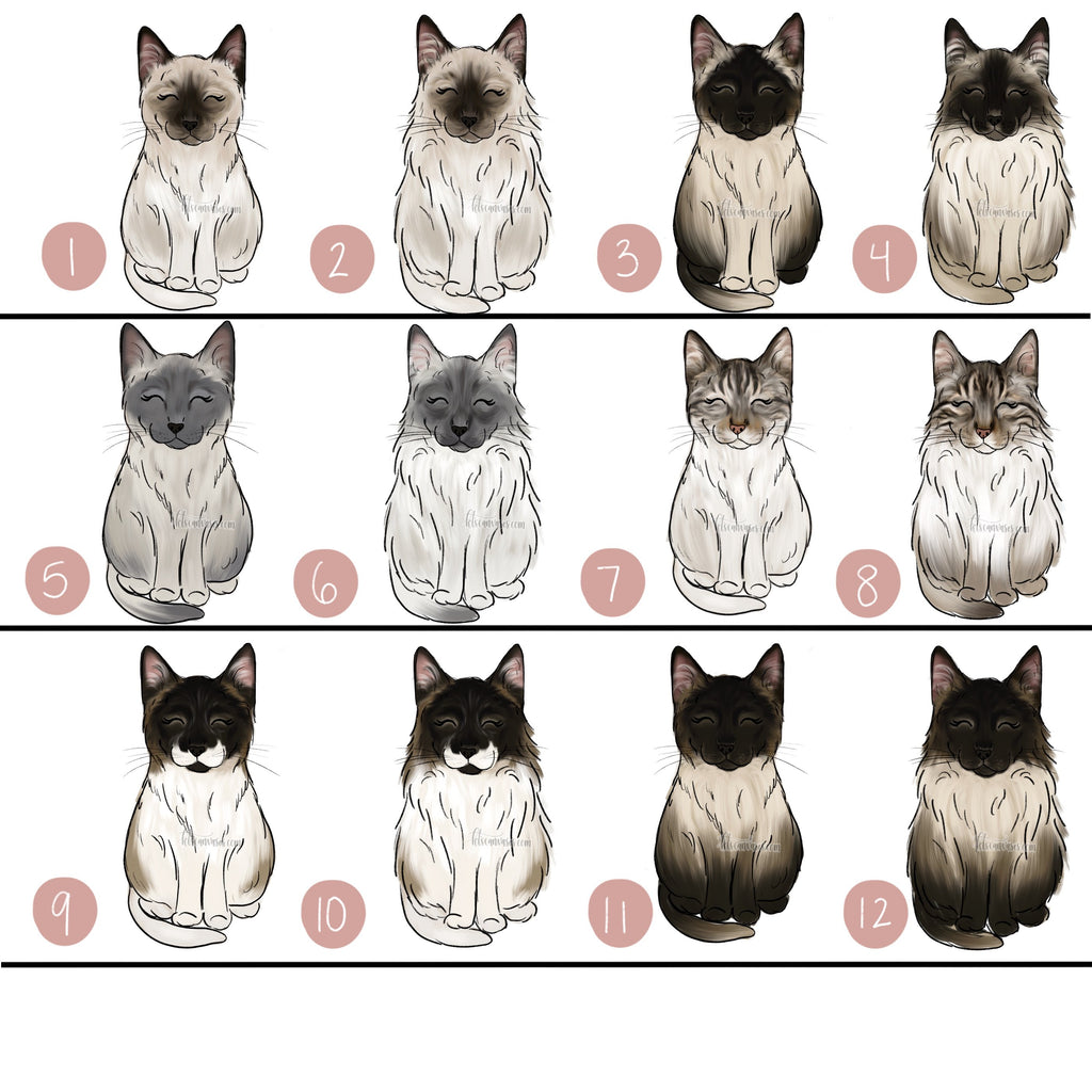Choose Your SIAMESE CAT Art Print