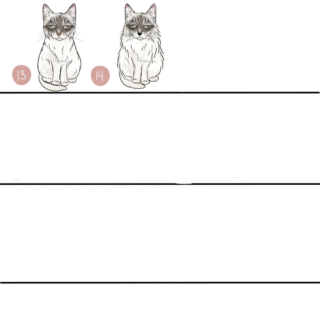 Choose Your SIAMESE CAT Art Print