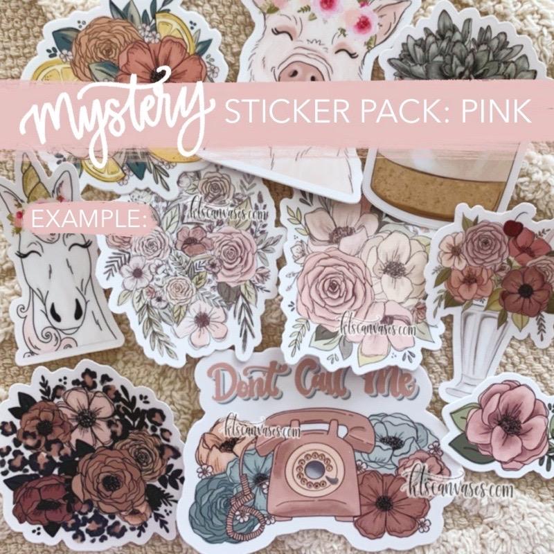 Mystery Sticker Pack: Pink Stickers (30% off discount included) – KT's  Canvases