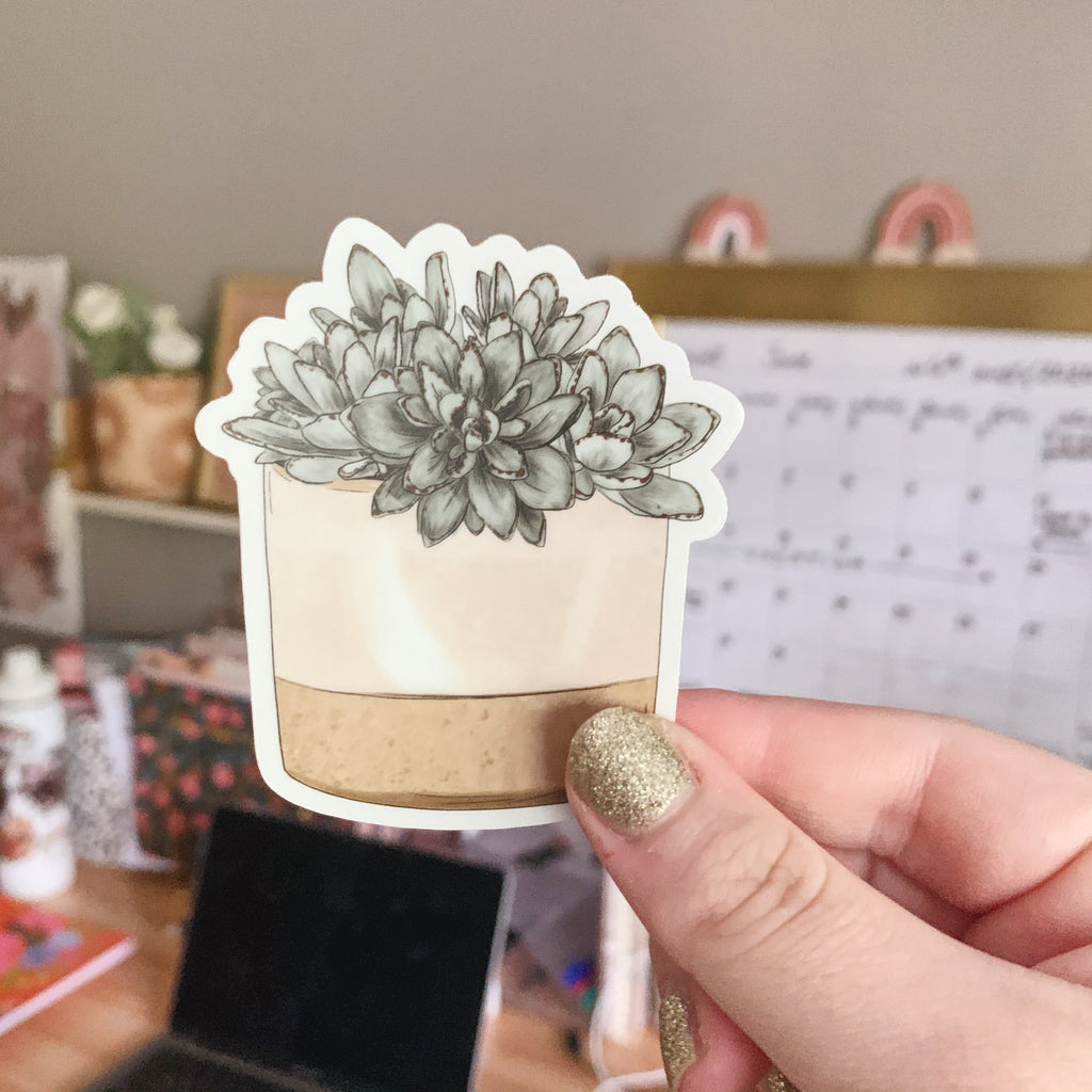 Potted Succulents Clear Sticker