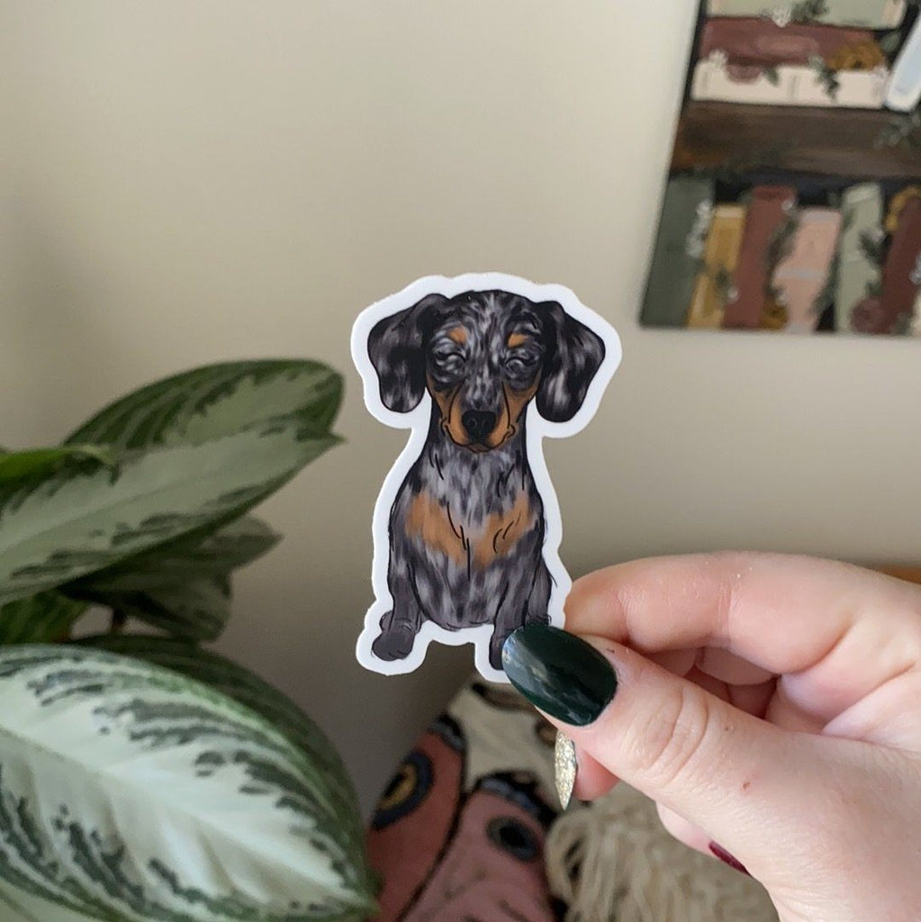 Sticker - Dachshund #10 Sticker