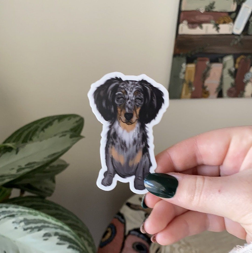 Sticker - Dachshund #11 Sticker